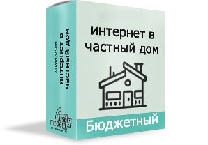 Інтернет в приватному будинку бюджетний