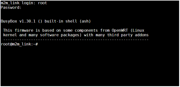 окно консоли - авторизация с паролем